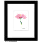 Pink Chrysanthemum, Print (#7711B)