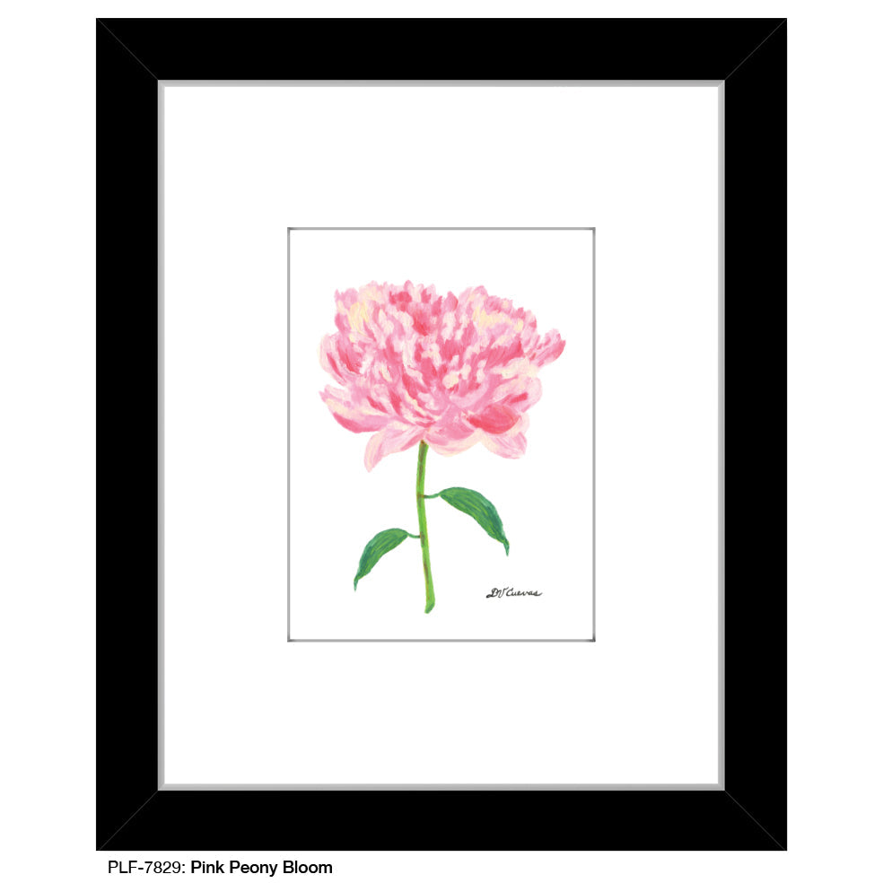 Pink Peony Bloom, Print (#7829A)