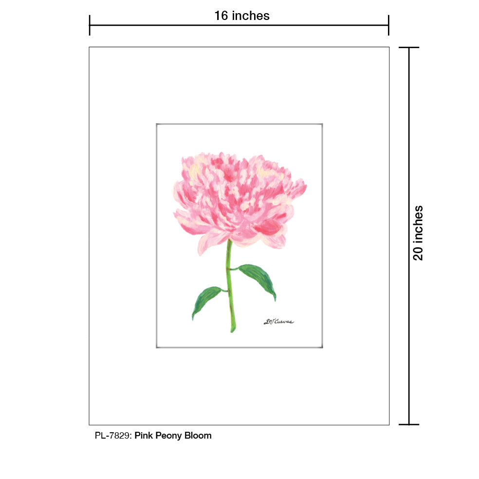 Pink Peony Bloom, Print (#7829A)
