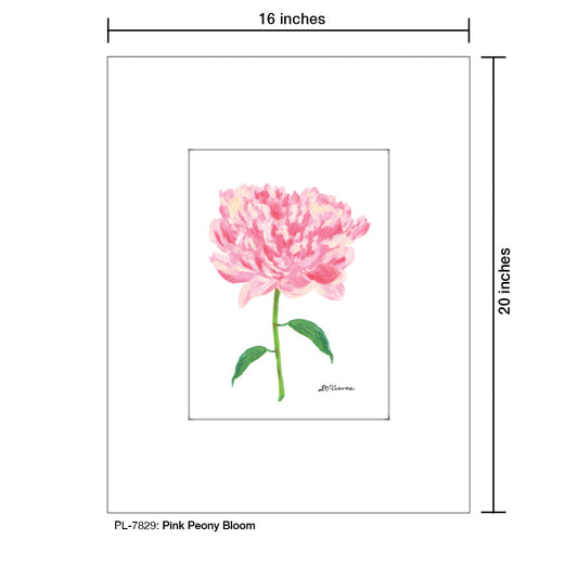Pink Peony Bloom, Print (#7829A)