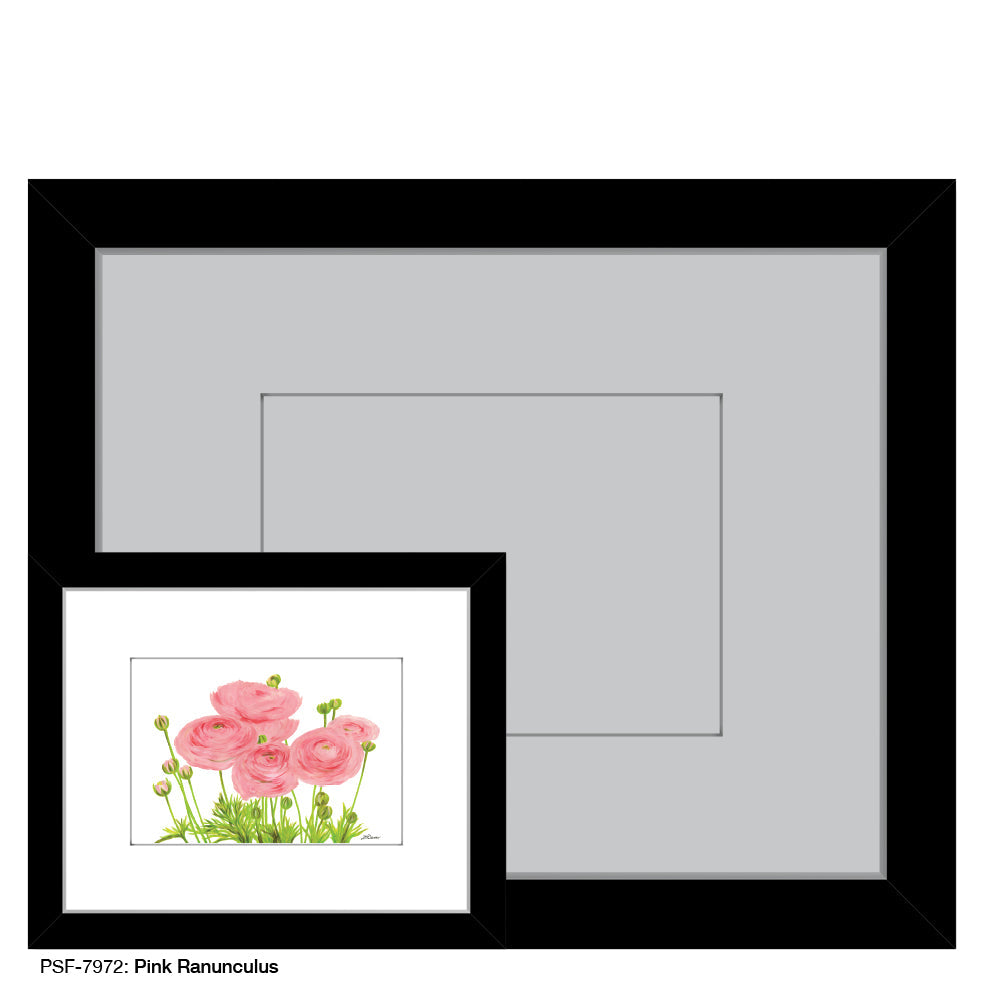 Pink Ranunculus, Print (#7972A)
