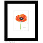 Poppy Essence, Print (#7781B)