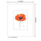 Poppy Essence, Print (#7781B)