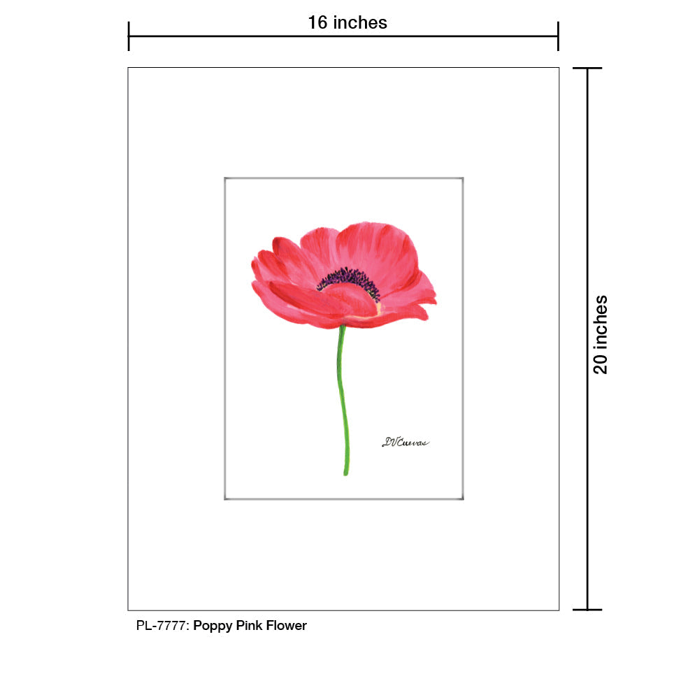 Poppy Pink Flower, Print (#7777B)