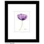 Poppy Violet, Print (#8415A)