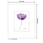 Poppy Violet, Print (#8415A)