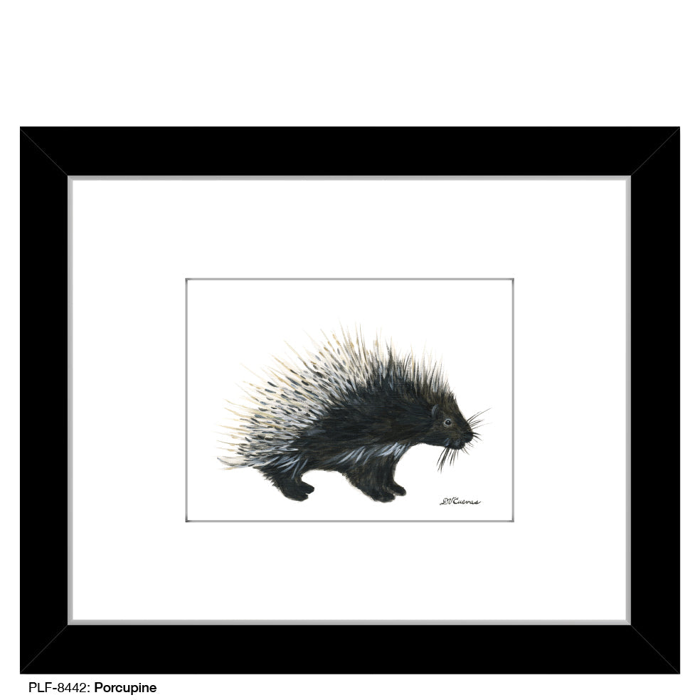 Porcupine, Print (#8442B)