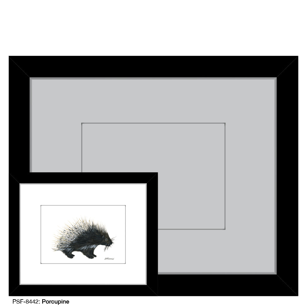 Porcupine, Print (#8442B)