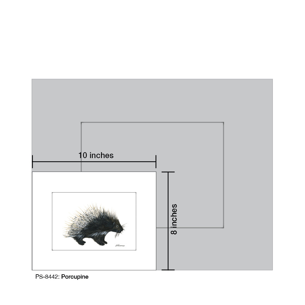 Porcupine, Print (#8442B)
