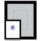 Purple & White Poppy Anemone, Print (#8708D)