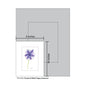 Purple & White Poppy Anemone, Print (#8708D)