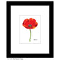 Red Passion Poppy, Print (#7500A)