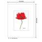 Red Poppy Fan, Print (#7501A)