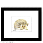 Roundy Hedgehog, Print (#8417D)