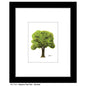 Seasons Tree Twin, Print (#7551B)
