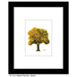 Seasons Tree Twin, Print (#7552C)