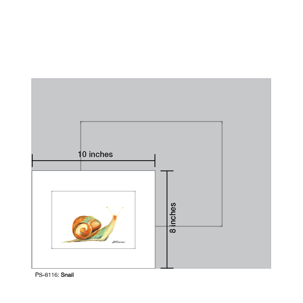 Snail, Print (#8116B)