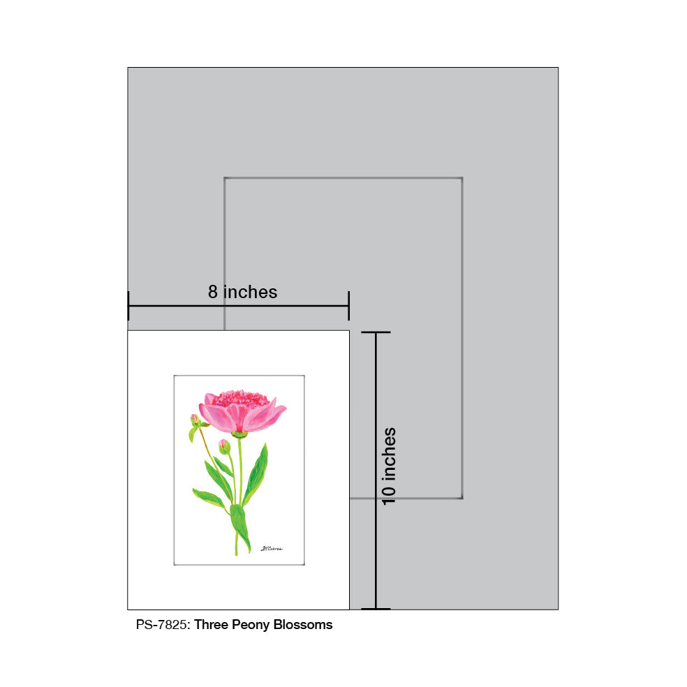 Three Peony Blossoms, Print (#7825E)