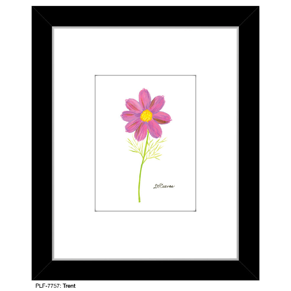 Trent, Print (#7757A)