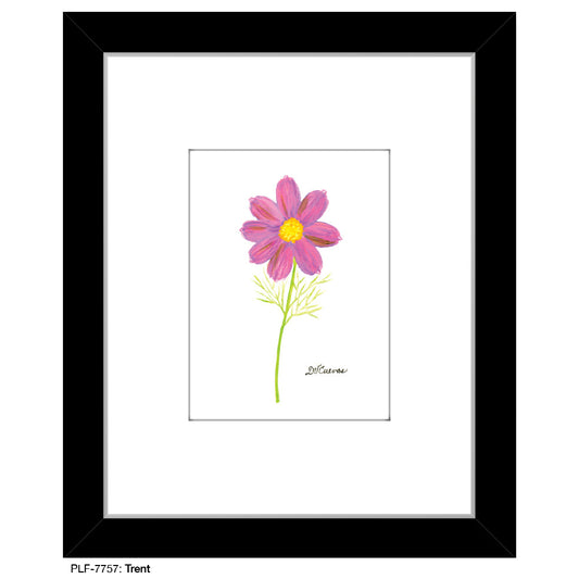 Trent, Print (#7757A)