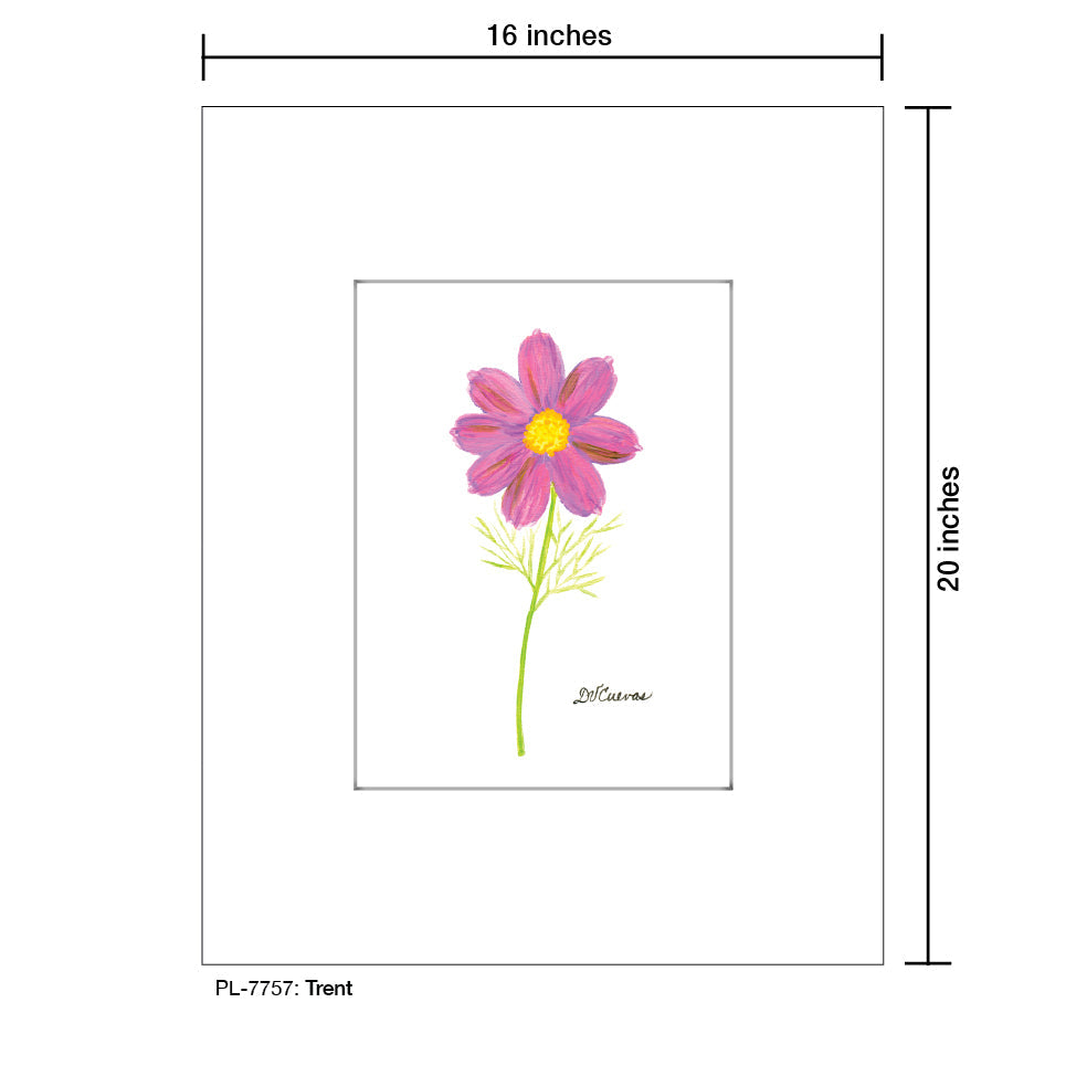 Trent, Print (#7757A)