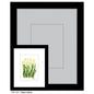 Tulipa Cultivar, Print (#7401A)