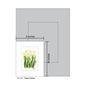 Tulipa Cultivar, Print (#7401A)