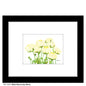 White Ranunculus Stems, Print (#7970A)
