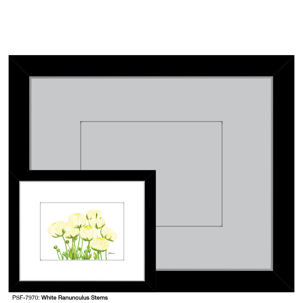 White Ranunculus Stems, Print (#7970A)