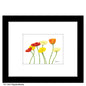 Poppies Beverly, Print (#7886A)