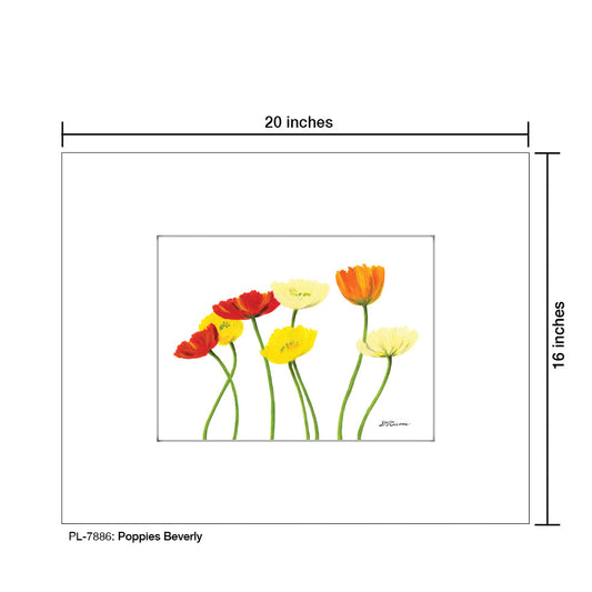 Poppies Beverly, Print (#7886A)