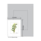Solomon's Seal, Print (#7404A)