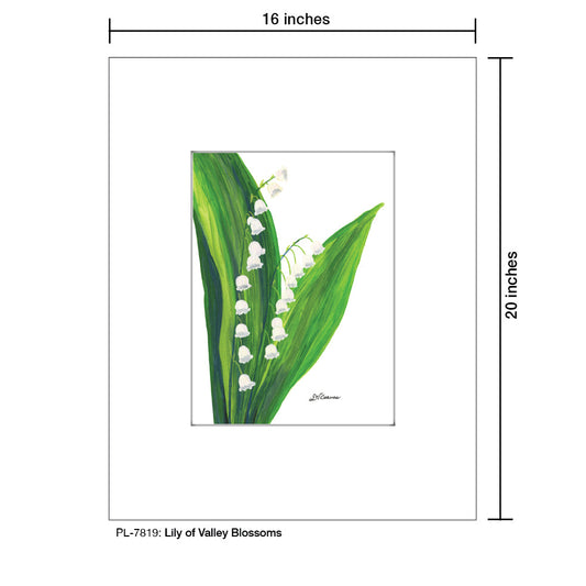 Lily of the Valley Blossoms, Print (#7819A)