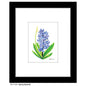 Spring Hyacinth, Print (#7725A)