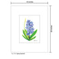 Spring Hyacinth, Print (#7725A)