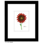 Gazania, Print (#7297B)