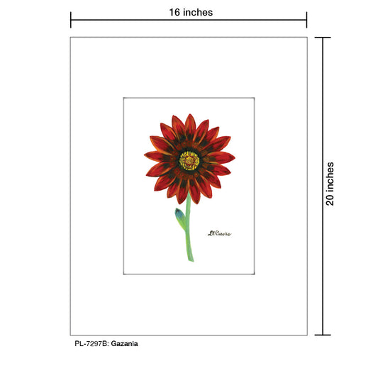 Gazania, Print (#7297B)