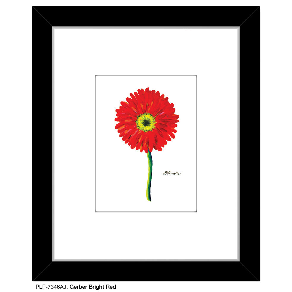 Gerber Bright Red, Print (#7346AJ)