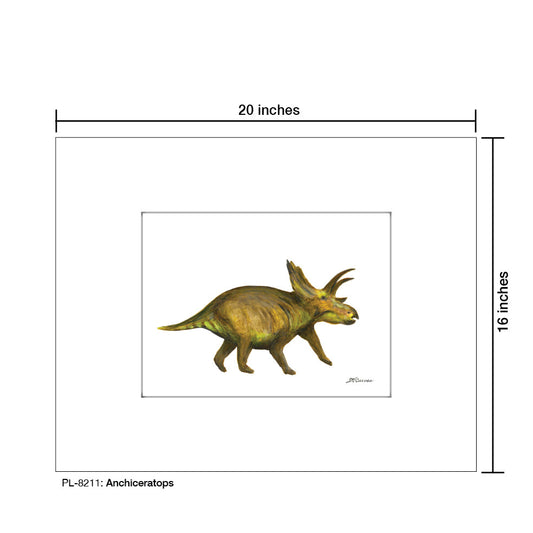 Anchiceratops, Print (#8211A)