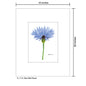 Blue Wild Flower Stem, Print (#7728A)