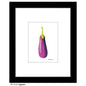 Eggplant, Print (#8122A)