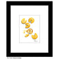 Fortune Cookies, Print (#7460A)