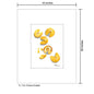 Fortune Cookies, Print (#7460A)