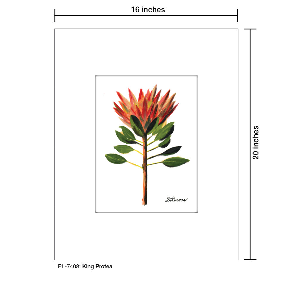 King Protea, Print (#7408A)