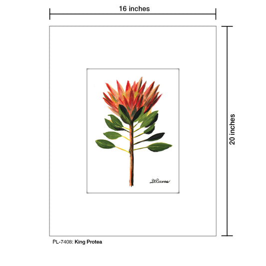 King Protea, Print (#7408A)