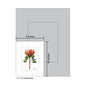 King Protea, Print (#7408A)