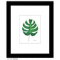 Monstera, Print (#8504B)