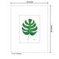 Monstera, Print (#8504B)