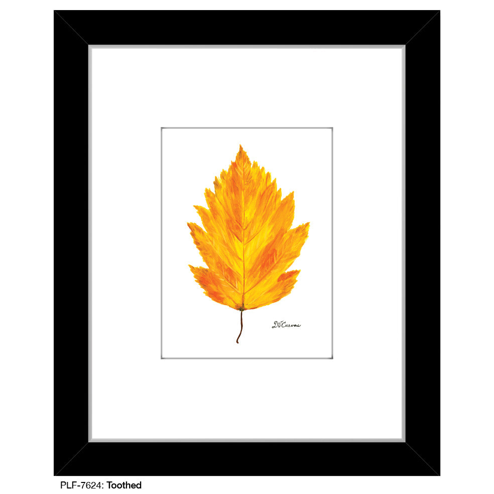 Toothed, Print (#7624A)