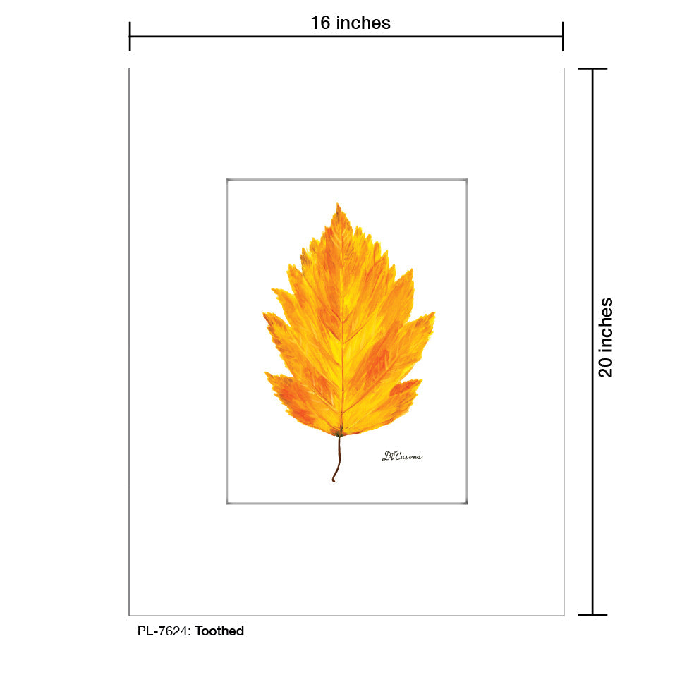 Toothed, Print (#7624A)